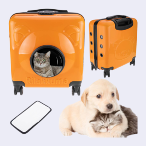 Valise de transport des animaux de compagnie en plastique rigide orange
