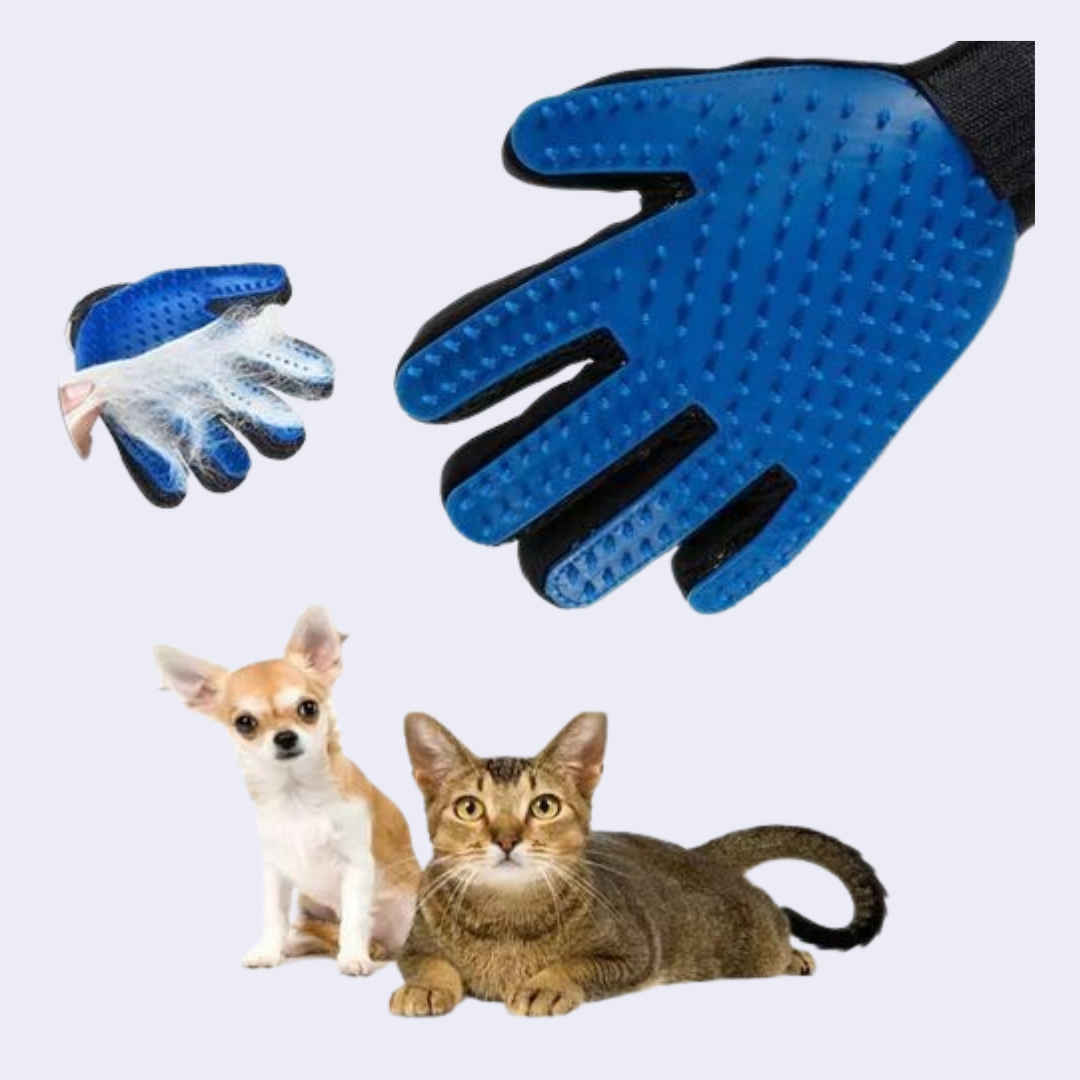 1PC et gant chat toilettage gant chat cheveux desheding brosse gants chien