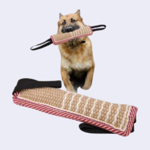 Tug de dressage de morsures de chien, canne de dressage de chien, 1 pièces pour chat