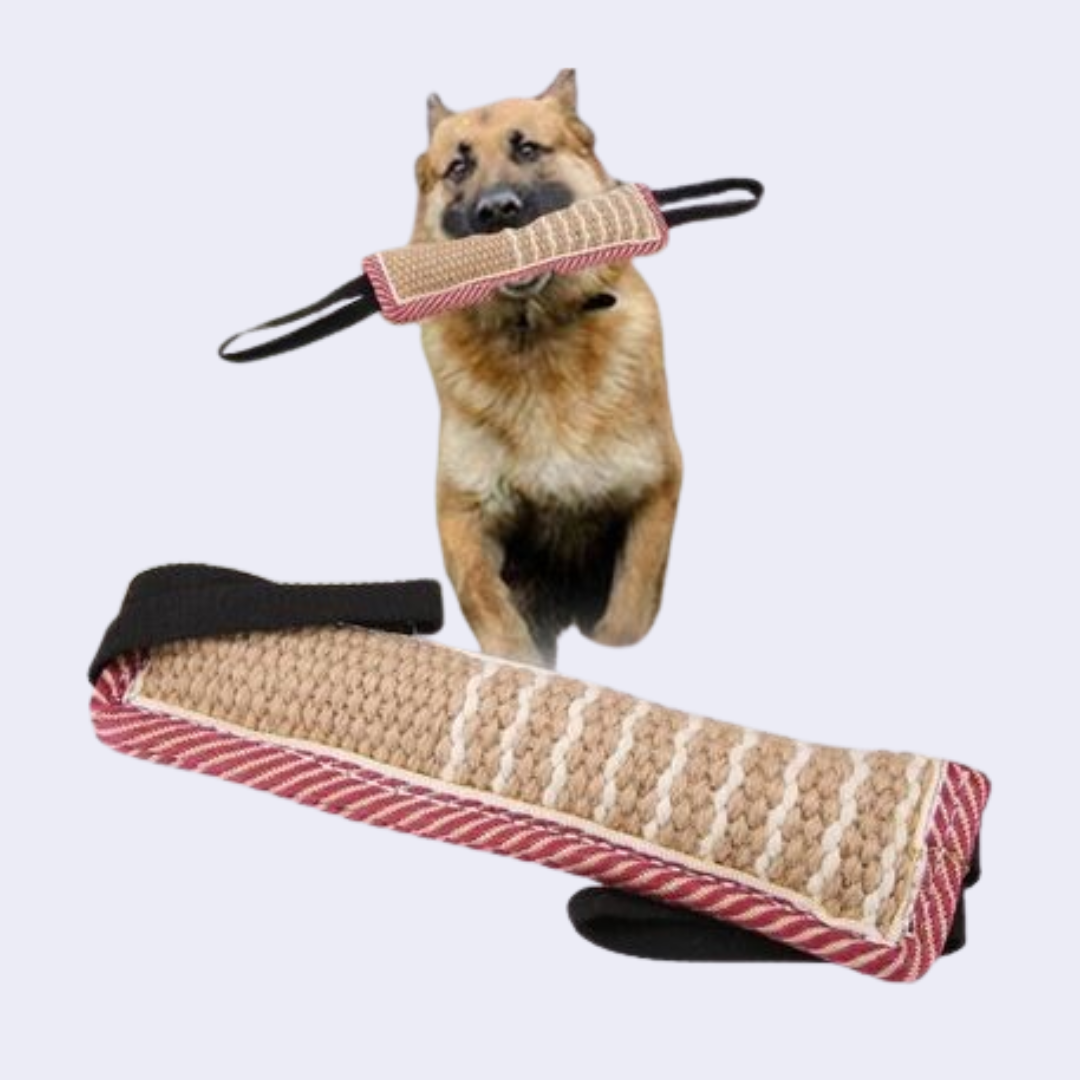 Tug de dressage de morsures de chien, canne de dressage de chien, 1 pièces pour chat