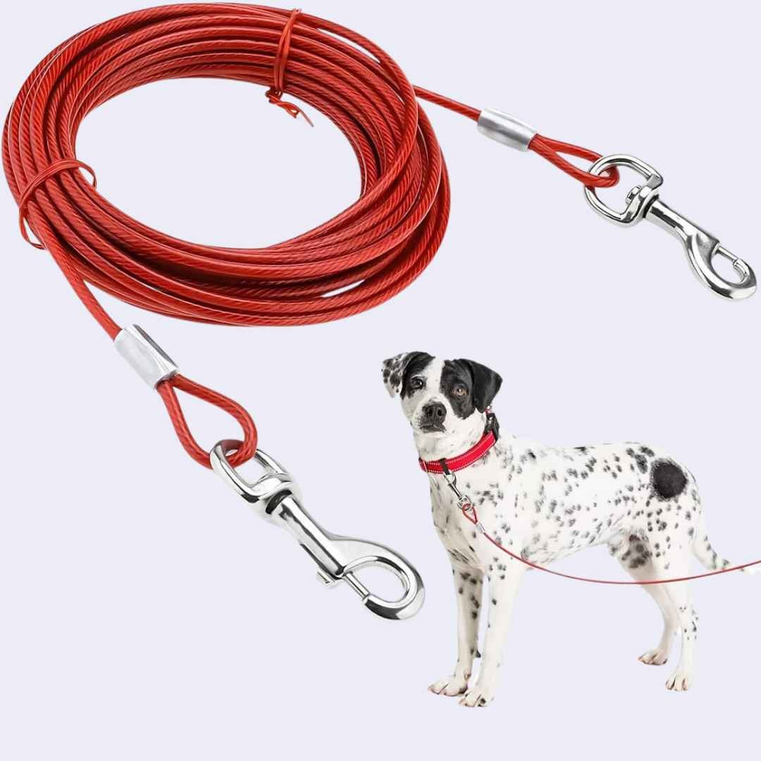 Câble d&rsquo;attache pour Chien, Fil d&rsquo;acier, Double Tête, Résistant aux Morsures